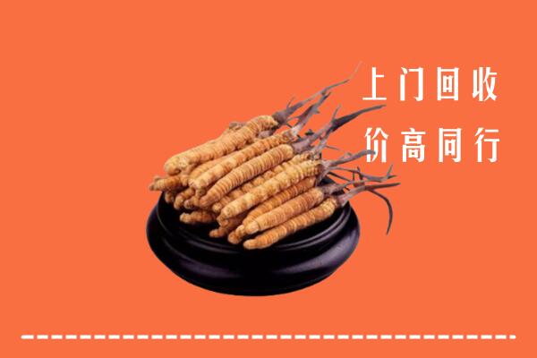 高价求购：北京通州区回收散虫草