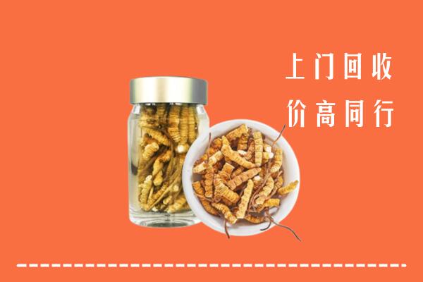 北京通州区回收冬虫夏草